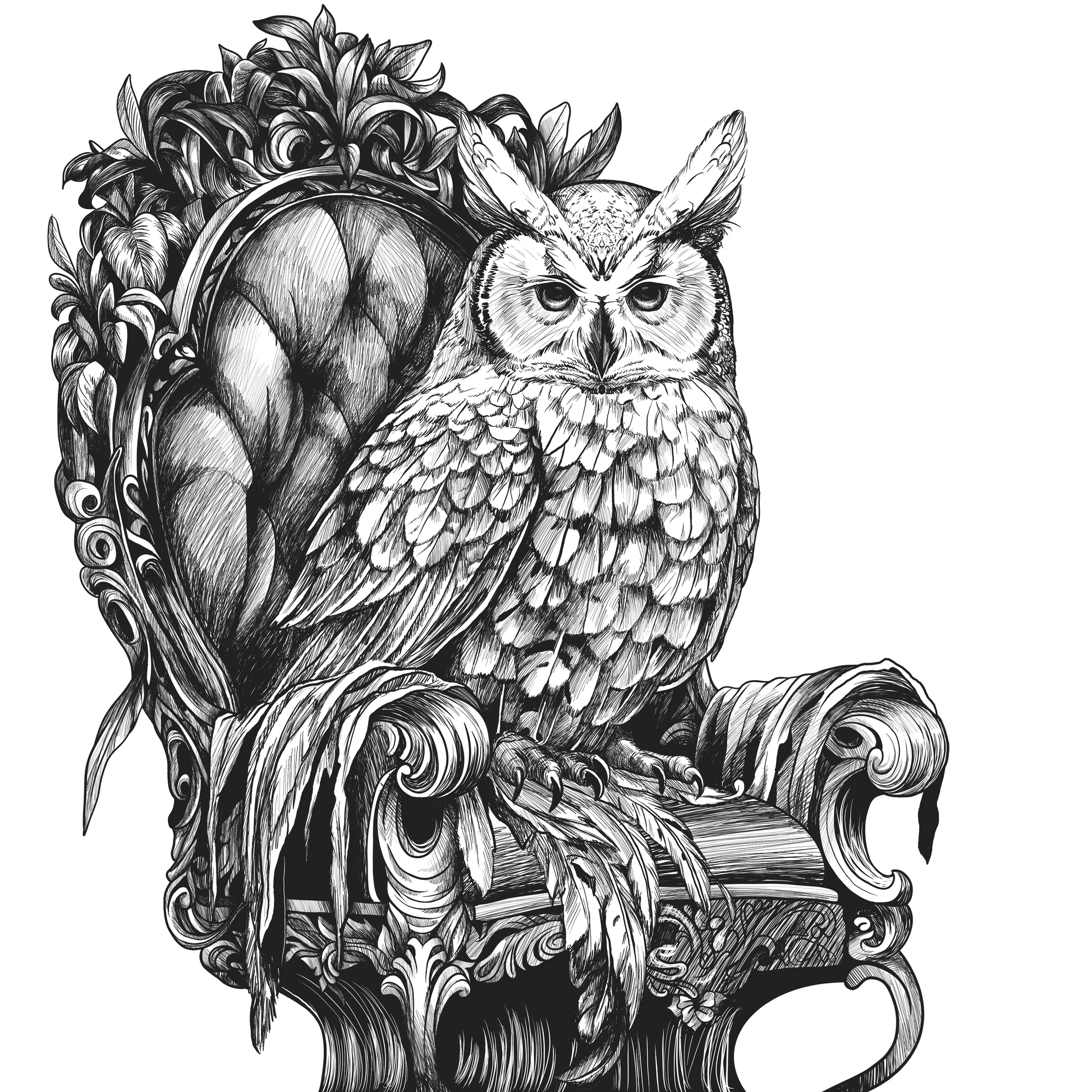 Black and white illustration of an owl on an ornate chair with decorative elements.